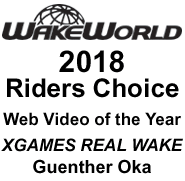 Web Video of the Year